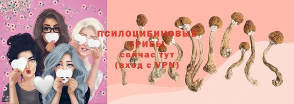 таблы Козельск